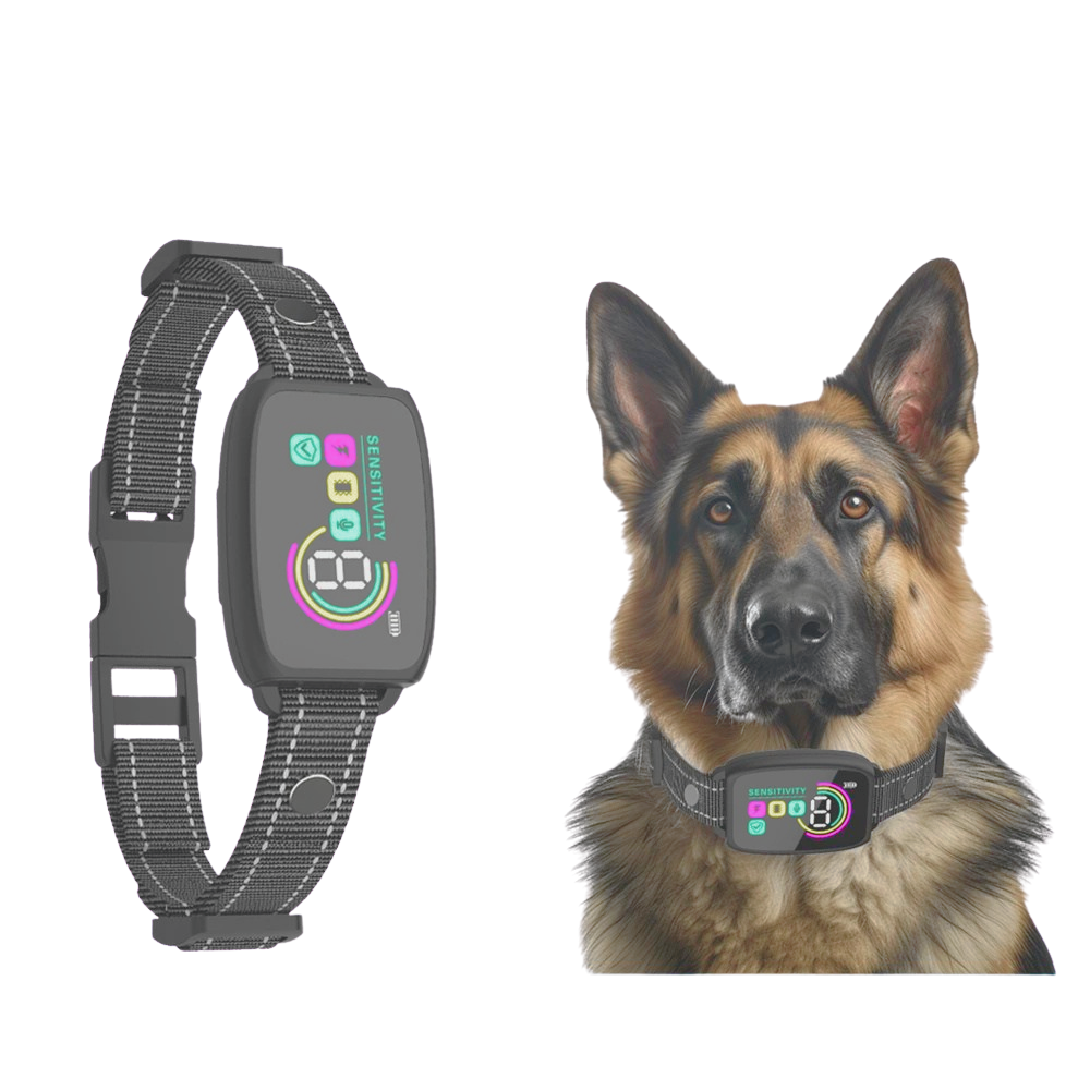 PET SOLUTIONS