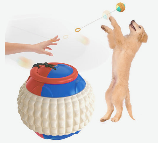 Interactive Dog Toy – Chew-Resistant Molar Ball
